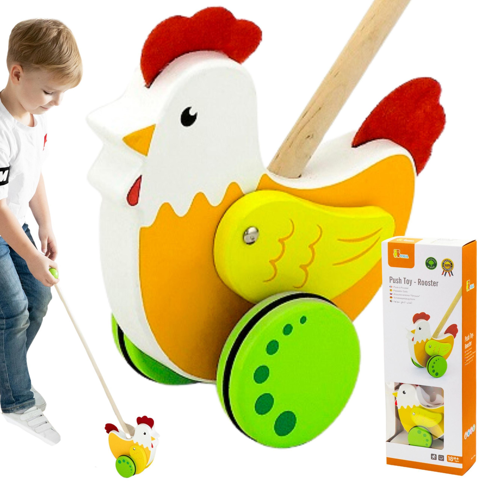 Viga Houten Educatieve Duwkip van Vigatoys