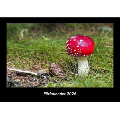 Pilzkalender 2026 Fotokalender DIN A3