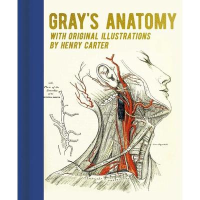 Gray's Anatomy, Gebundene Ausgabe von Henry Gray, Arcturus Publishing, 978-1-398-82058-6