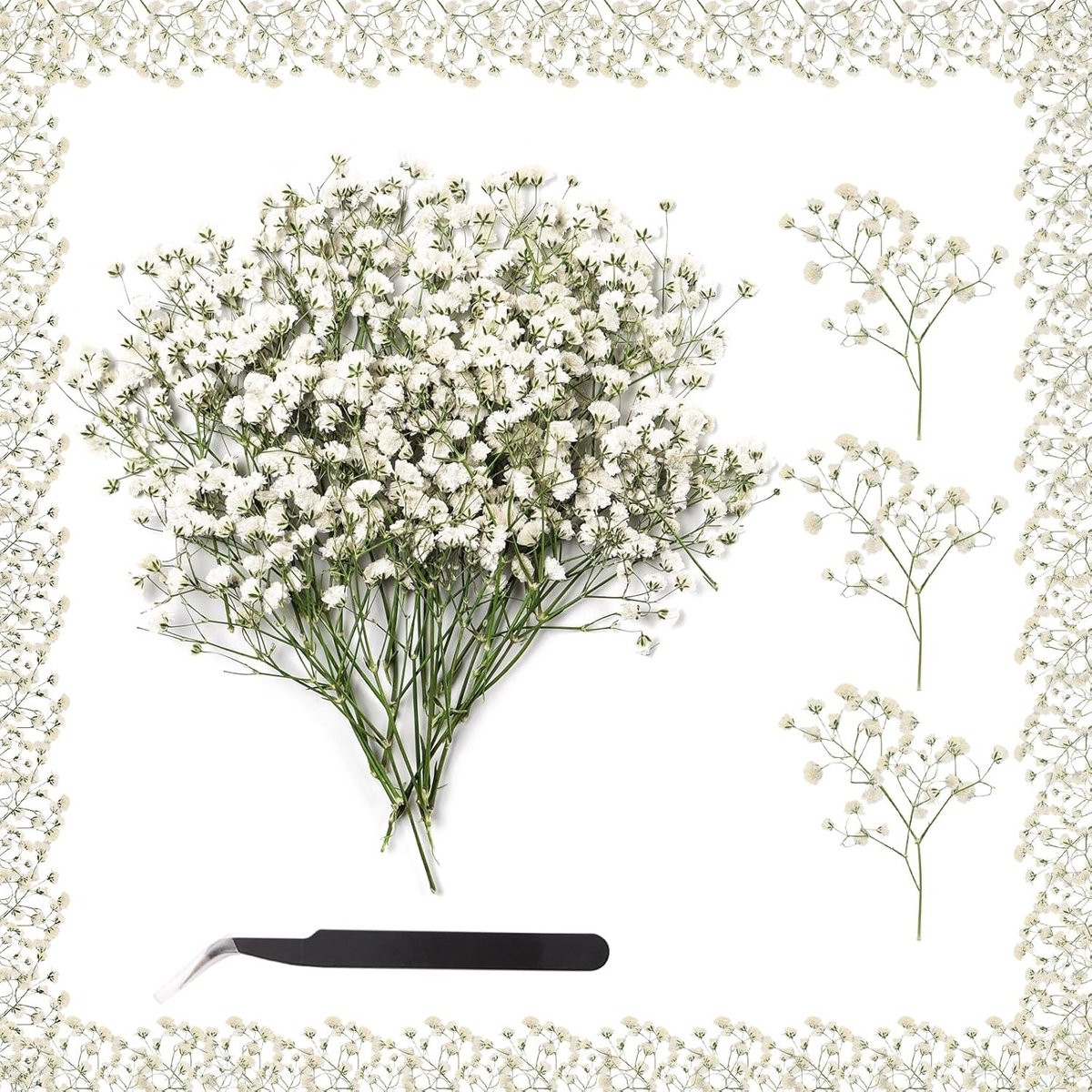 Dried Gypsophila Bloemen - 100 Stuks Witte Gipskruid voor Bruiloften en Decoratie