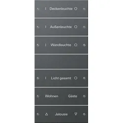 Gira 220628 Wippenset 6f (3+3) beschr. System 55 Anthrazit(lack.)