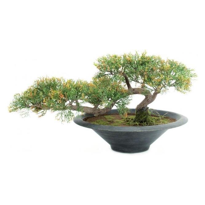 Europalms Bonsai-Zeder, Kunstpflanze, 40cm (40 cm) (55077043)