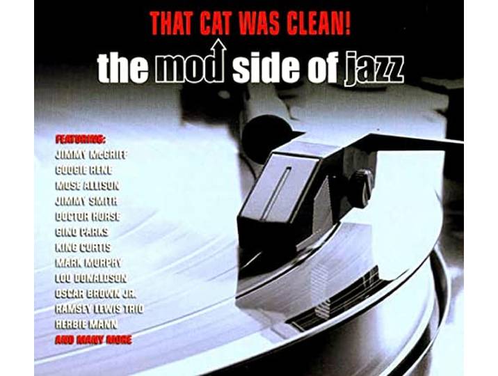 That Cat Was Clean!