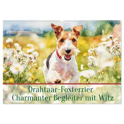 Drahthaar-Foxterrier charmanter Begleiter mit Witz (Wandkalender 2027 DIN A2 quer), CALVENDO Monatskalender