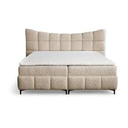 BOXBETT Nova In Rolf