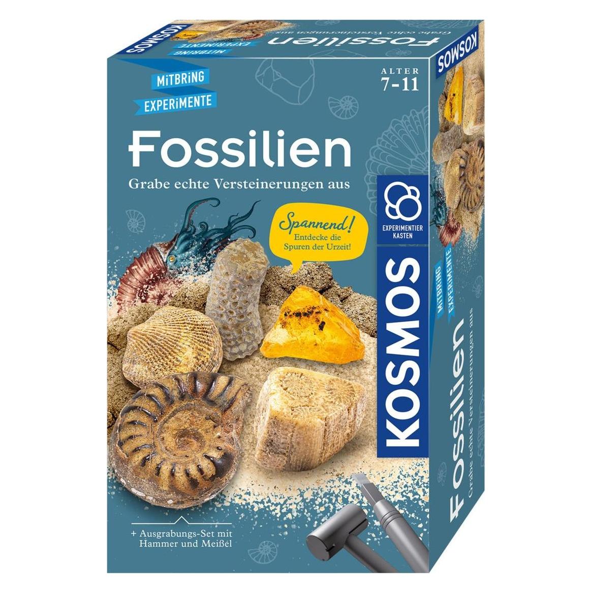 Kosmos Fossilien (657918)