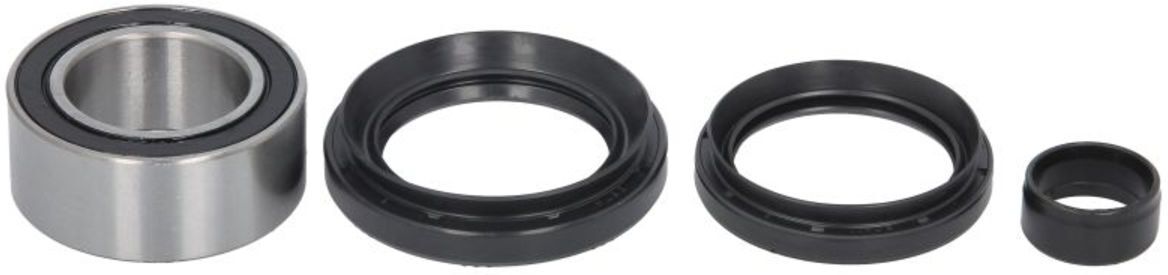 Radlagersatz ALL BALLS AB25-1621
