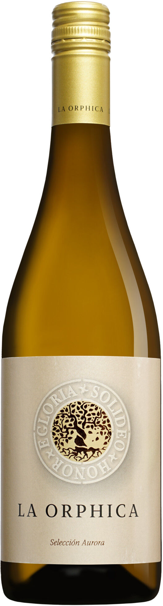 Trenza La Orphica Selección Aurora Blanco 2025 12.5% Vol. Weißwein Halbtrocken aus Spanien