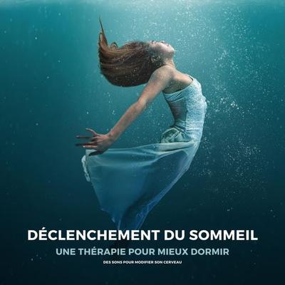 Déclenchement du sommeil : une thérapie pour mieux dormir - Jean Seydoux, Audio, 4066338951861