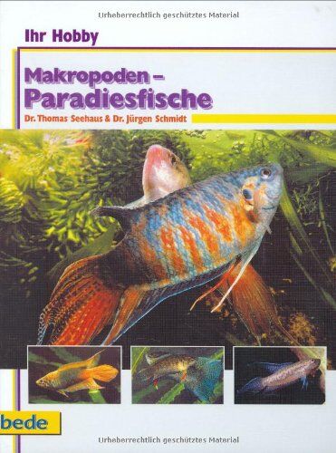 Dr. Thomas Seehaus - Makropoden-Paradiesfische, Ihr Hobby - Preis vom 04.10.2026 03:51:26 h