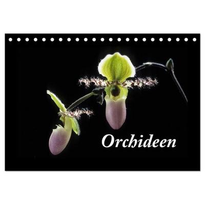 Orchideen 2027 (Tischkalender 2027 DIN A5 quer), CALVENDO Monatskalender