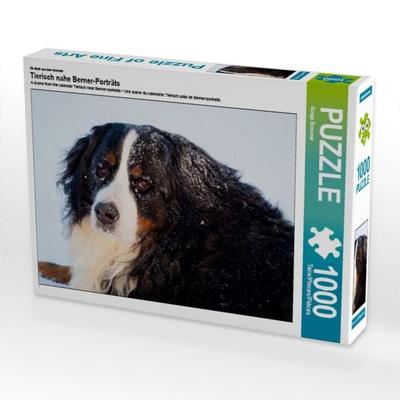 CALVENDO Puzzle Ein Motiv aus dem Kalender Tierisch nahe Berner-Porträts | 1000 Teile Lege-Größe 64x48cm Foto-Puzzle für glückliche Stunden