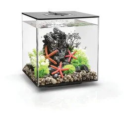 biOrb CUBE 30 MCR schwarz (72020)