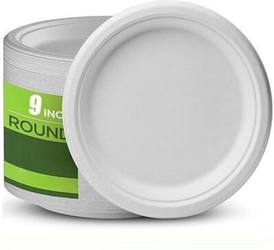 The Handy Homestead Biodegradable Paper Plates For Parties Picnics BBQ And Desserts white