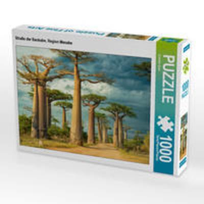 CALVENDO Puzzle Straße der Baobabs, Region Menabe | 1000 Teile Lege-Größe 64x48cm Foto-Puzzle für glückliche Stunden