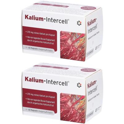 Kalium-Intercell magensaftresistente Hartkapseln 2x 2x60 St Magensaftresistente