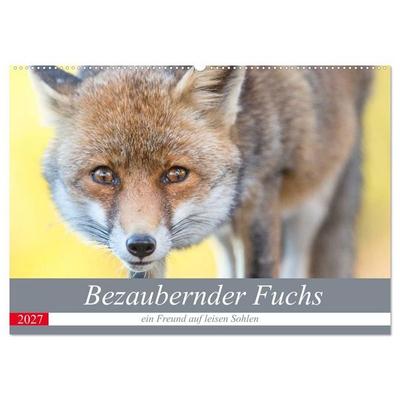 Bezaubernder Fuchs - ein Freund auf leisen Sohlen (Wandkalender 2027 DIN A2 quer), CALVENDO Monatskalender
