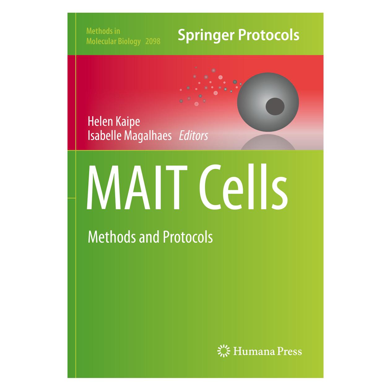 Springer MAIT Cells (Englisch, Softcover, Helen Kaipe, Isabelle Magalhaes) (56167306)