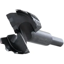 Famag, Bohrereinsatz, Forstnerbohrer Bormax (19 Millimeter)