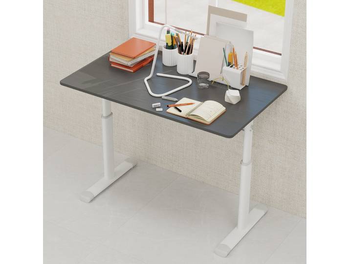 Bureau Réglable En Hauteur 100 X 60 Cm\, Manuel À Manivelle\, Gris Havrya