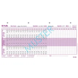 BOI Formular BZ-Profile