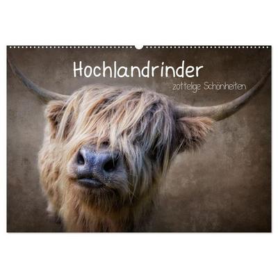 Hochlandrinder - Zottelige Schönheiten (Wandkalender 2027 DIN A2 quer), CALVENDO Monatskalender