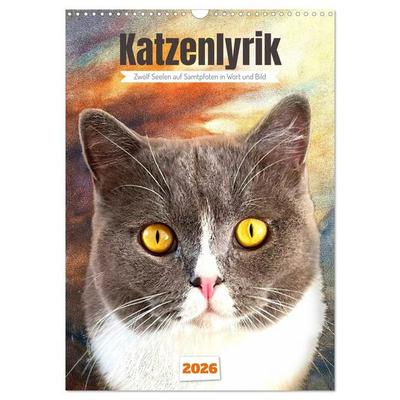 Katzenlyrik - Zwölf Seelen auf Samtpfoten in Wort und Bild (Wandkalender 2026 DIN A3 hoch), CALVENDO Monatskalender