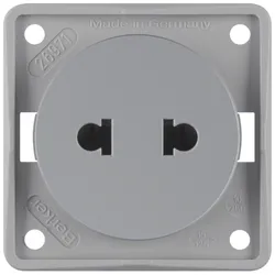 Berker 962572506 Steckdose ohne SK Euro-US Stand ITG grau