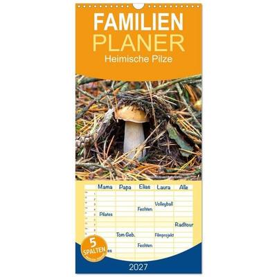 Familienplaner 2027 - Heimische Pilze mit 5 Spalten (Wandkalender, 21 x 45 cm) CALVENDO