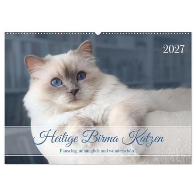 Heilige Birma Katzen - flauschig, anhänglich und wunderschön (Wandkalender 2027 DIN A2 quer), CALVENDO Monatskalender