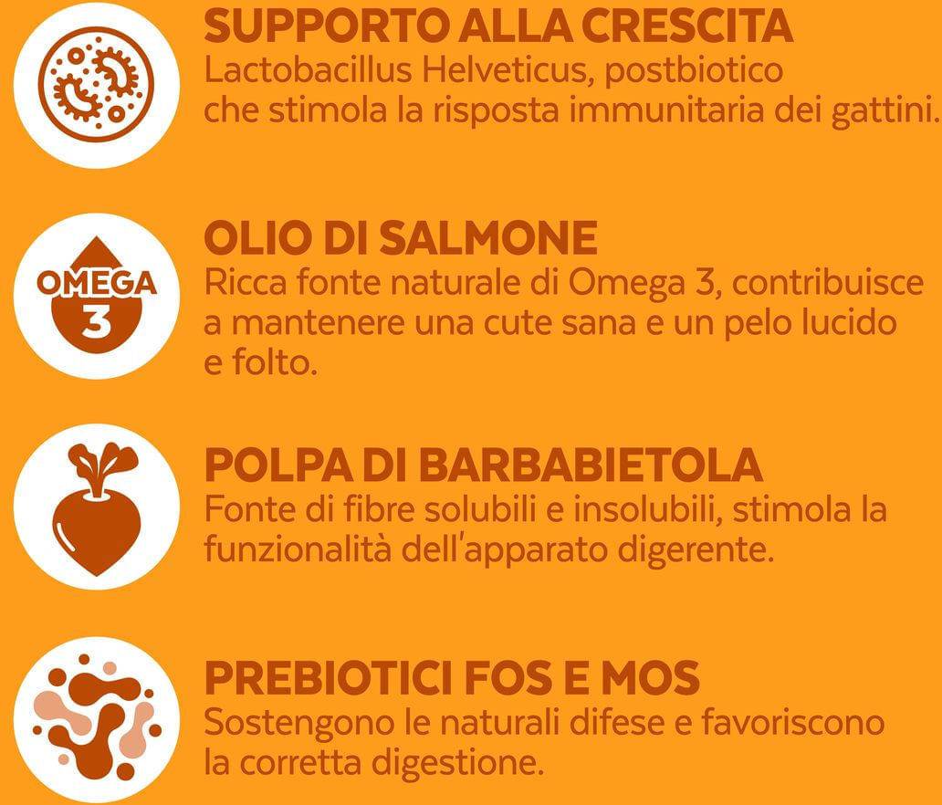 BeFortis Kitten Immunity Support 1.5KG