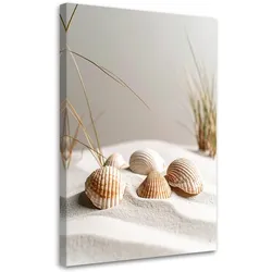 LEINWANDBILD Muscheln Strand Pflanzen Natur beige 70x100cm