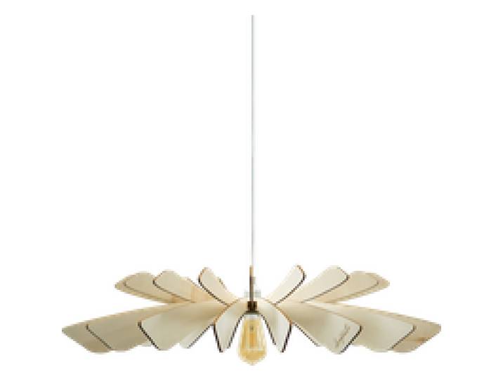 Suspension Aurora