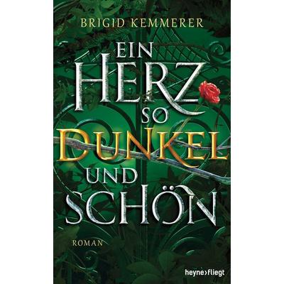 Ein Herz so dunkel und schön, Gebundene Ausgabe von Brigid Kemmerer, Heyne
