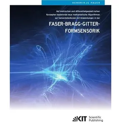 Auf metrischen und differentialgeometrischen Konzepten basierende neue mathematische Algorithmen zur, Fachbücher von Hendrikje Pauer