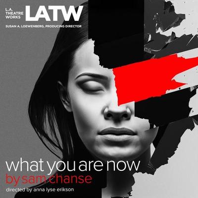 What You Are Now - Sam Chanse, Audio, 9781682661765