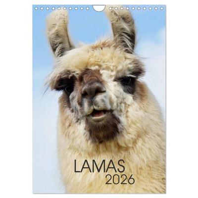 LAMAS (Wandkalender 2026 DIN A4 hoch), CALVENDO Monatskalender