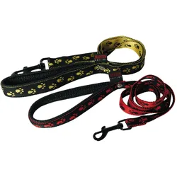 Martin Sellier Patte (S, Hund, Allgemein, Spazieren), Halsband + Leine