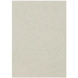 Baier & Schneider, Bastelpapier, Karton (220 g/m2, 100x)