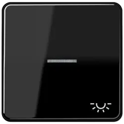 Wippe mit Symbol "Licht", mit Lichtleiter (schwarz)