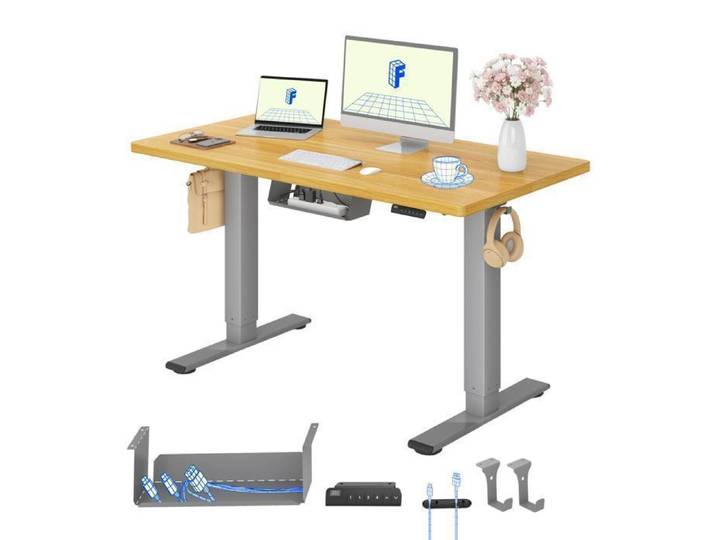 FlexiSpot Bureau Assis Debout avec 2 Moteurs 120x80 Une Pièce 100kg Charge Panneau de Contrôle Fonctions Mémoires Gris+Maple