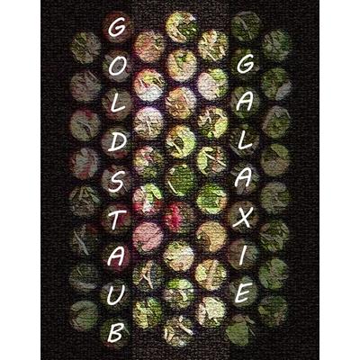 GoldstaubGalaxie, Gebundene Ausgabe von , Lorbeer-Verlag, 978-3-938969-62-5