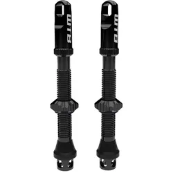 WTB TCS AL Max-Flow Presta Valve Tubeless Ventile 65mm schwarz 2 Stk
