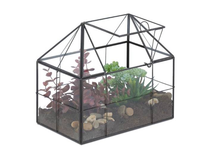 Relaxdays Planten terrarium van glas voor binnen