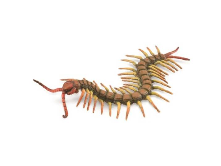 Collecta Insecten (L): DUIZENDPOOT 18x3cm
