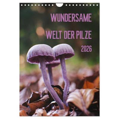 Wundersame Welt der Pilze (Wandkalender 2026 DIN A4 hoch), CALVENDO Monatskalender
