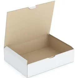 Rajapack, Versandkarton + Versandbox, Raja Versandkarton 1-wellig Pappe 250 (B) x 80 (T) x 330 (H) mm Weiss (50 Stk., 25 x 8 x 33 cm)