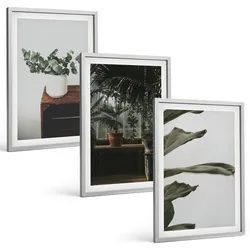 BILDER SET 3er Set - 40x60 cm Silberner Rahmen - Rustikale Topfpflanzen
