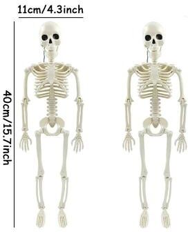 Inspired Finds Posable Halloween Skeleton Decoration 2pcs