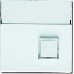 Busch-Jaeger Zentralscheibe sws 1571 CN-84 2CKA001582A0346